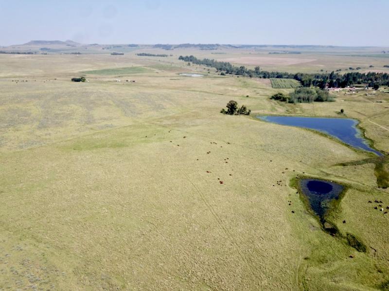 0 Bedroom Property for Sale in Bethlehem Rural Free State